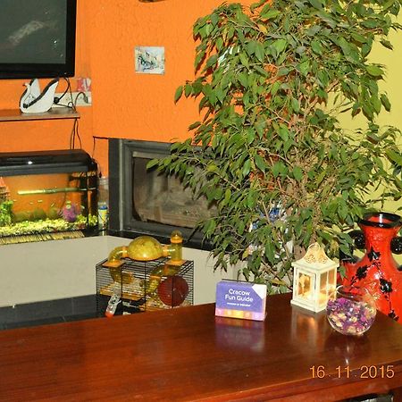 Honey Hostel Краков Экстерьер фото